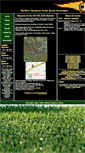 Mobile Screenshot of ntssa.net